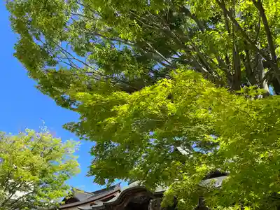 岡宮神社(長野県)