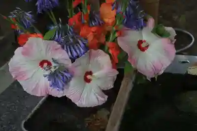 高司神社〜むすびの神の鎮まる社〜の手水舎
