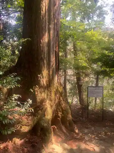 鞆淵八幡神社(和歌山県)