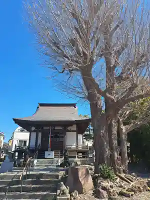 源心寺の御朱印