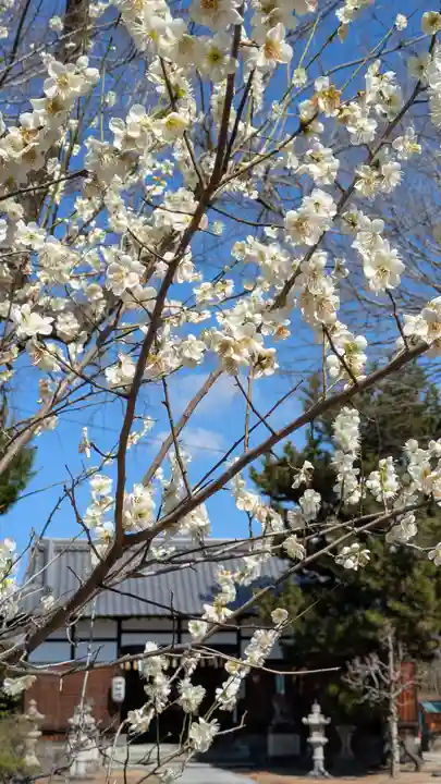 巨椋神社(京都府)