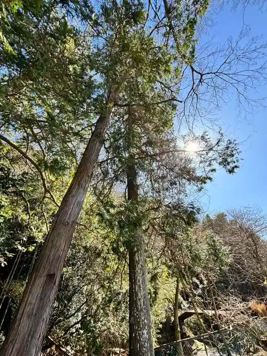 瀧川神社(静岡県)