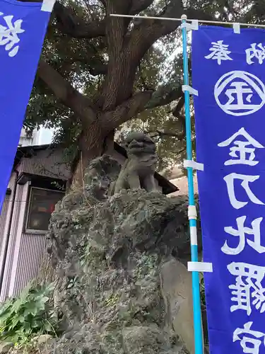 大綱金刀比羅神社の狛犬