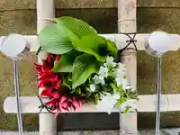 守りの神 藤基神社の手水舎