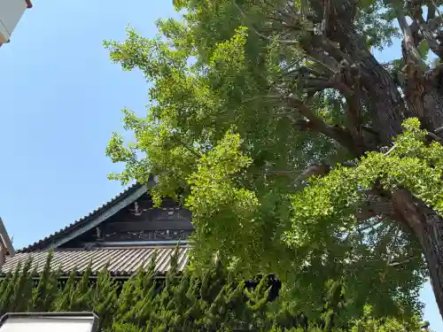 聖安寺の{uncategorized: "未分類", other: "その他", undefined: "問題あり", building: "その他建物", grave: "お墓", sacred_gate: "鳥居", guardian: "狛犬", statue: "像", buddha: "仏像", history: "歴史", nature: "自然", garden: "庭園", animal: "動物", pagoda: "塔", temizu: "手水舎", mountain_gate: "山門・神門", sanctuary: "本殿・本堂", subordinate: "末社・摂社", art: "芸術", scenery: "景色", jizo: "地蔵", ema: "絵馬", goshuin: "御朱印", omikuji: "おみくじ", items: "授与品その他", amulet: "お守り", goshuincho: "御朱印帳", eats: "食事", festival: "お祭り", votive_dance: "神楽", shichigosan: "七五三参", wedding: "結婚式", experience: "体験その他", initially: "初詣", around: "周辺", anti_infection: "感染症対策"}