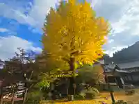 温泉寺(兵庫県)