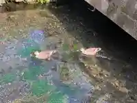 浅間神社(静岡県)