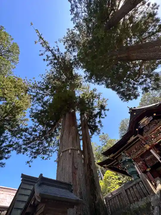 三峯神社(埼玉県)