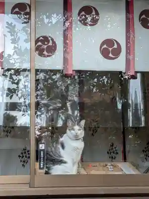 本郷氷川神社(東京都)