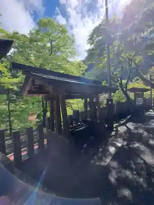 九頭龍神社(東京都)