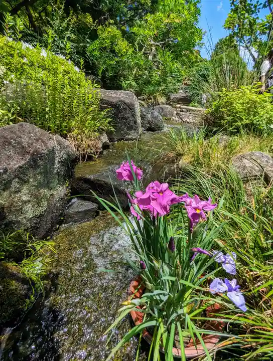 長谷寺(神奈川県)