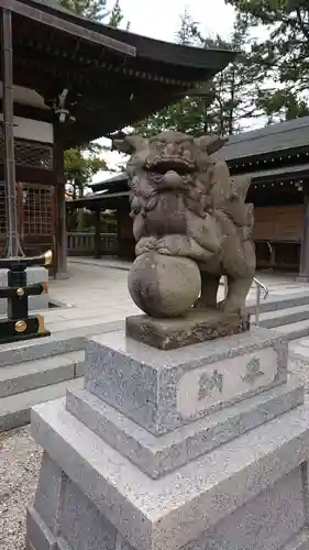 坂井神社の狛犬