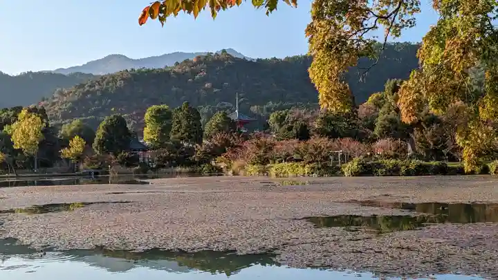 大覚寺(京都府)