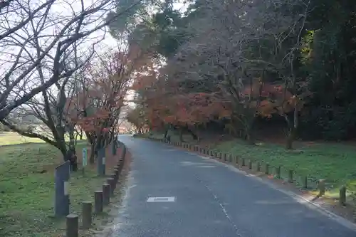 坂本八幡宮の建物その他