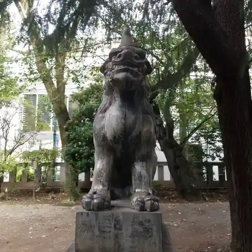 青山熊野神社の狛犬