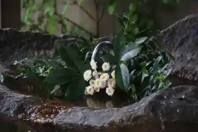 愛宕神社の手水舎