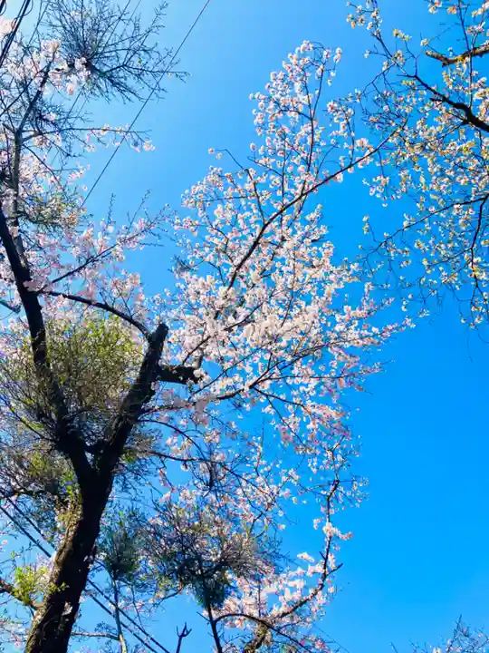 愛宕神社(茨城県)