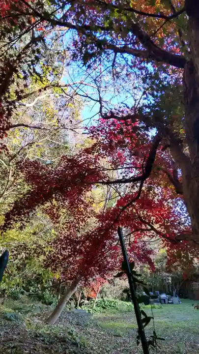 東慶寺(神奈川県)