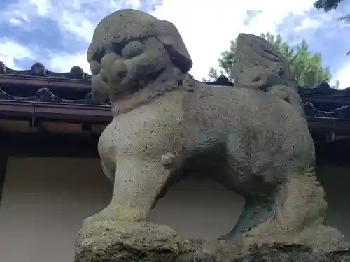 多太神社の狛犬