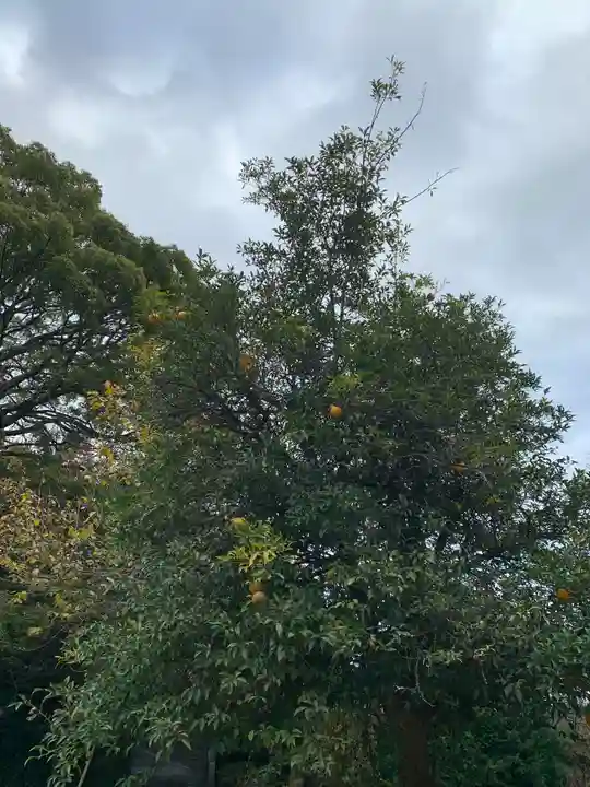 能仁寺(茨城県)