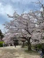 功山寺(山口県)