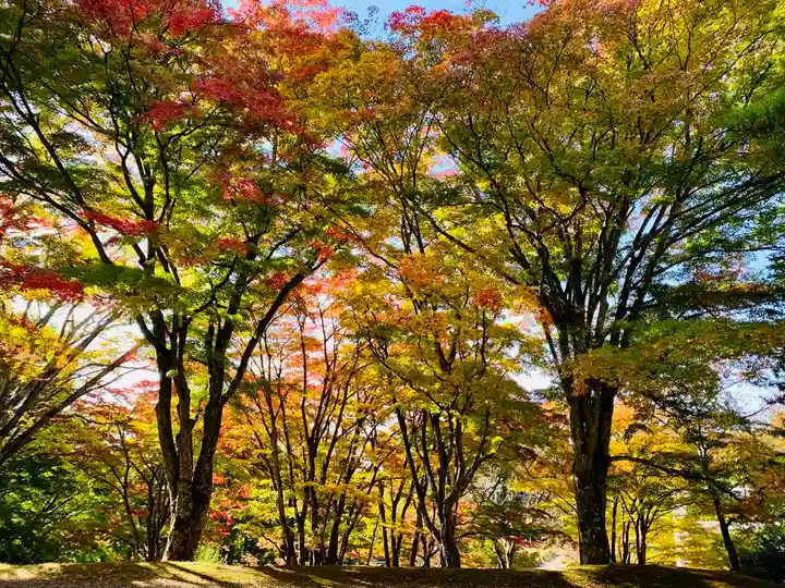 土津神社|こどもと出世の神さまの自然