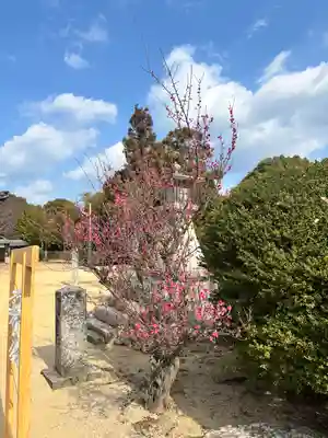 勝岡八幡神社(愛媛県)
