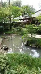 明月院の庭園