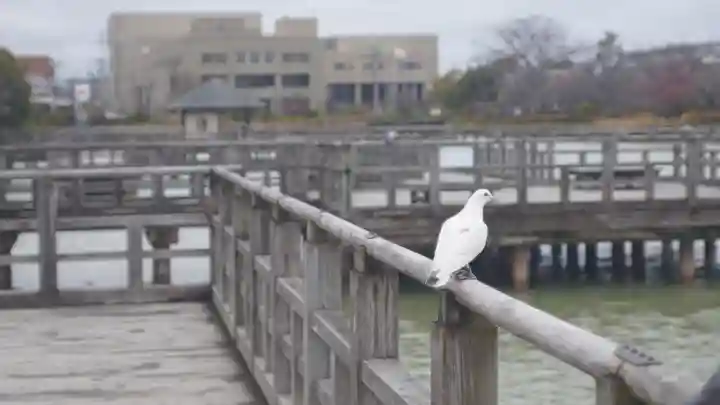 長岡天満宮(京都府)