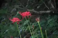 国宝 大法寺の自然