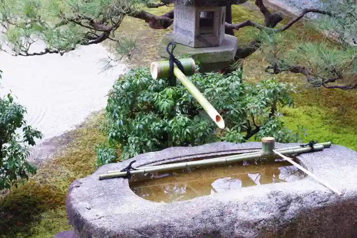 妙顯寺(妙顕寺)(京都府)
