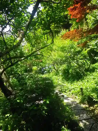 瑞泉寺の庭園