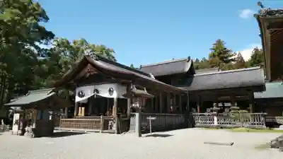 土佐神社の本殿・本堂