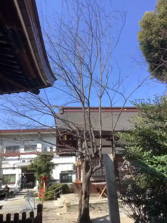 三輪神社の自然