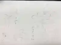 尾張猿田彦神社の御朱印