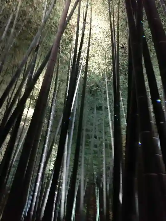 高台寺(高台寿聖禅寺・高臺寺)(京都府)