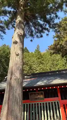 鎮神社の{uncategorized: "未分類", other: "その他", undefined: "問題あり", building: "その他建物", grave: "お墓", sacred_gate: "鳥居", guardian: "狛犬", statue: "像", buddha: "仏像", history: "歴史", nature: "自然", garden: "庭園", animal: "動物", pagoda: "塔", temizu: "手水舎", mountain_gate: "山門・神門", sanctuary: "本殿・本堂", subordinate: "末社・摂社", art: "芸術", scenery: "景色", jizo: "地蔵", ema: "絵馬", goshuin: "御朱印", omikuji: "おみくじ", items: "授与品その他", amulet: "お守り", goshuincho: "御朱印帳", eats: "食事", festival: "お祭り", votive_dance: "神楽", shichigosan: "七五三参", wedding: "結婚式", experience: "体験その他", initially: "初詣", around: "周辺", anti_infection: "感染症対策"}