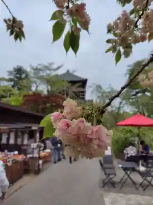 笠森寺(千葉県)