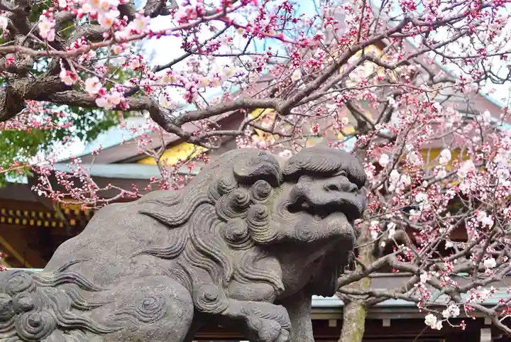 湯島天満宮(東京都)