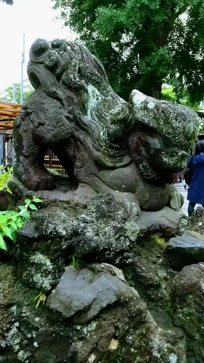 菊田神社の狛犬