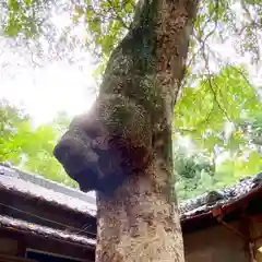 氷川女體神社の自然