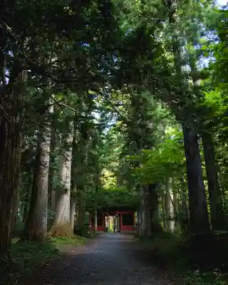 戸隠神社奥社(長野県)