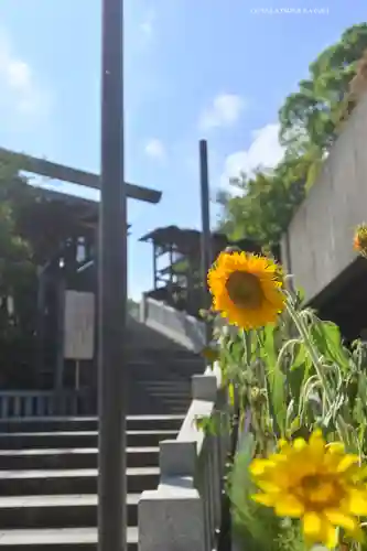 伊勢山皇大神宮(神奈川県)