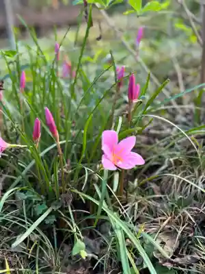 沙沙貴神社(滋賀県)