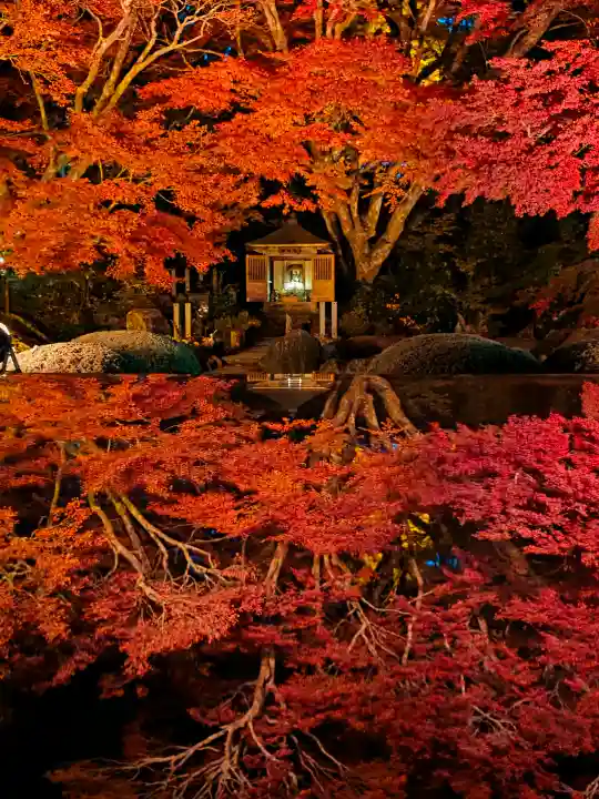 宝蔵寺の{uncategorized: "未分類", other: "その他", undefined: "問題あり", building: "その他建物", grave: "お墓", sacred_gate: "鳥居", guardian: "狛犬", statue: "像", buddha: "仏像", history: "歴史", nature: "自然", garden: "庭園", animal: "動物", pagoda: "塔", temizu: "手水舎", mountain_gate: "山門・神門", sanctuary: "本殿・本堂", subordinate: "末社・摂社", art: "芸術", scenery: "景色", jizo: "地蔵", ema: "絵馬", goshuin: "御朱印", omikuji: "おみくじ", items: "授与品その他", amulet: "お守り", goshuincho: "御朱印帳", eats: "食事", festival: "お祭り", votive_dance: "神楽", shichigosan: "七五三参", wedding: "結婚式", experience: "体験その他", initially: "初詣", around: "周辺", anti_infection: "感染症対策"}