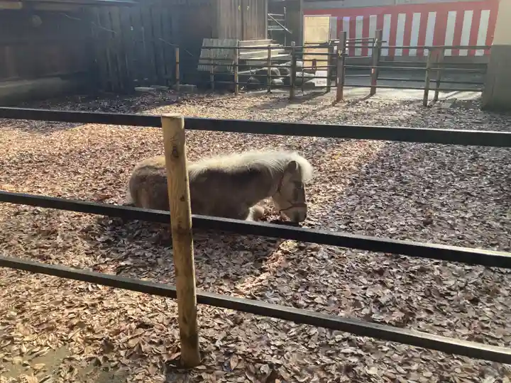 平塚八幡宮(神奈川県)