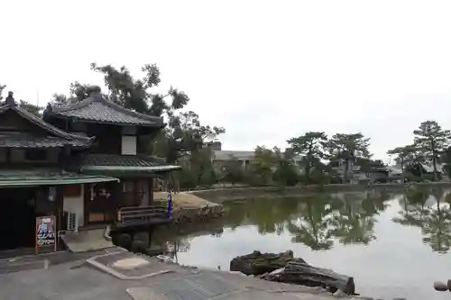 興福寺の庭園