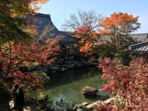 百済寺の庭園