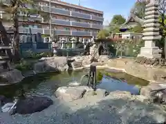 安養院(神奈川県)