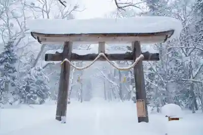 戸隠神社奥社(長野県)